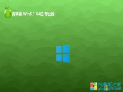 ƻϵͳwin8.1 64λưv2024.04