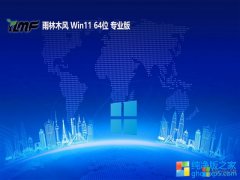 <font color='#006600'>ľ⼤win11 64λʽv2025.05</font>