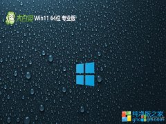 ײ64λwin11ڲ޹v2023.10
