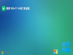 ̲ϵͳwin11ذ64λv2024.05⼤